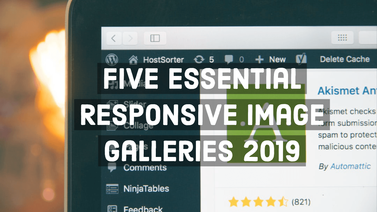 Five Essential Responsive Image Galleries 2019