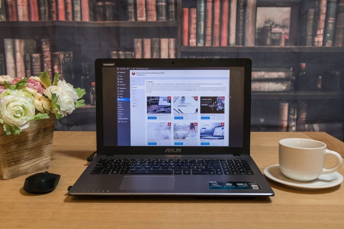 wordpress themes